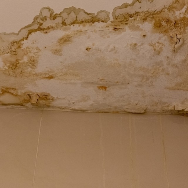 5 hétköznapi ok, ami miatt a plafon foltokban vizesedhet: ezekre gondolj először!