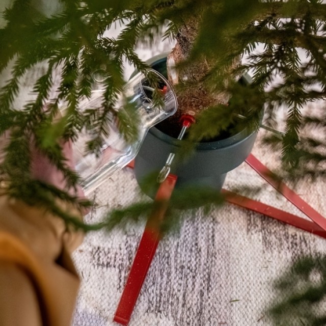 Bosszúság ellen: így faragd be a karácsonyfát a talpába könnyen és gyorsan!