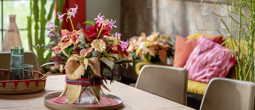 Így dekorálhatsz mikulásvirággal egész télen – inspiráló fotókat mutatunk Így dekorálhatsz mikulásvirággal egész télen – inspiráló fotókat mutatunk