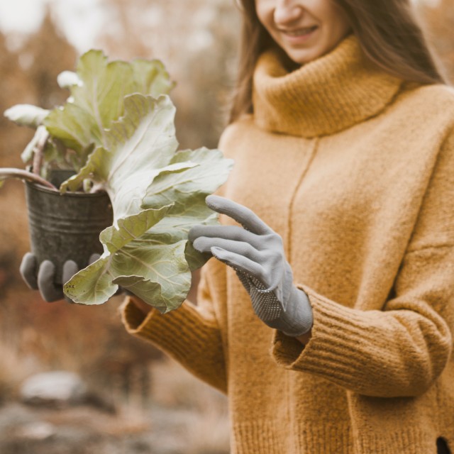 Kerti munkák, amiket már februárban érdemes elvégezni – összeszedtük a legfontosabbakat