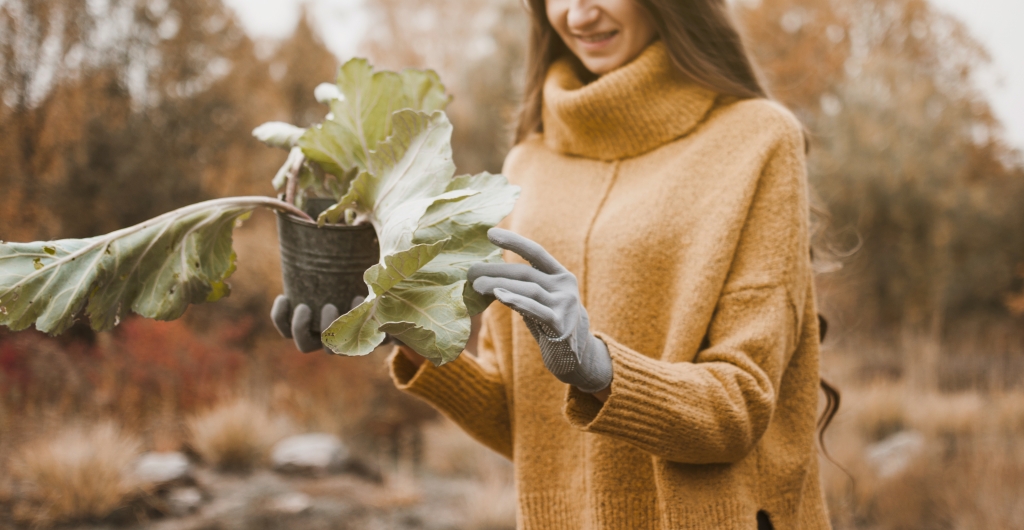 Kerti munkák, amiket már februárban érdemes elvégezni – összeszedtük a legfontosabbakat Kerti munkák, amiket már februárban érdemes elvégezni – összeszedtük a legfontosabbakat