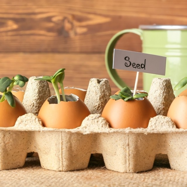 Így dekoráld a kertet húsvétra: mutatunk néhány szuper ötletet hozzá!